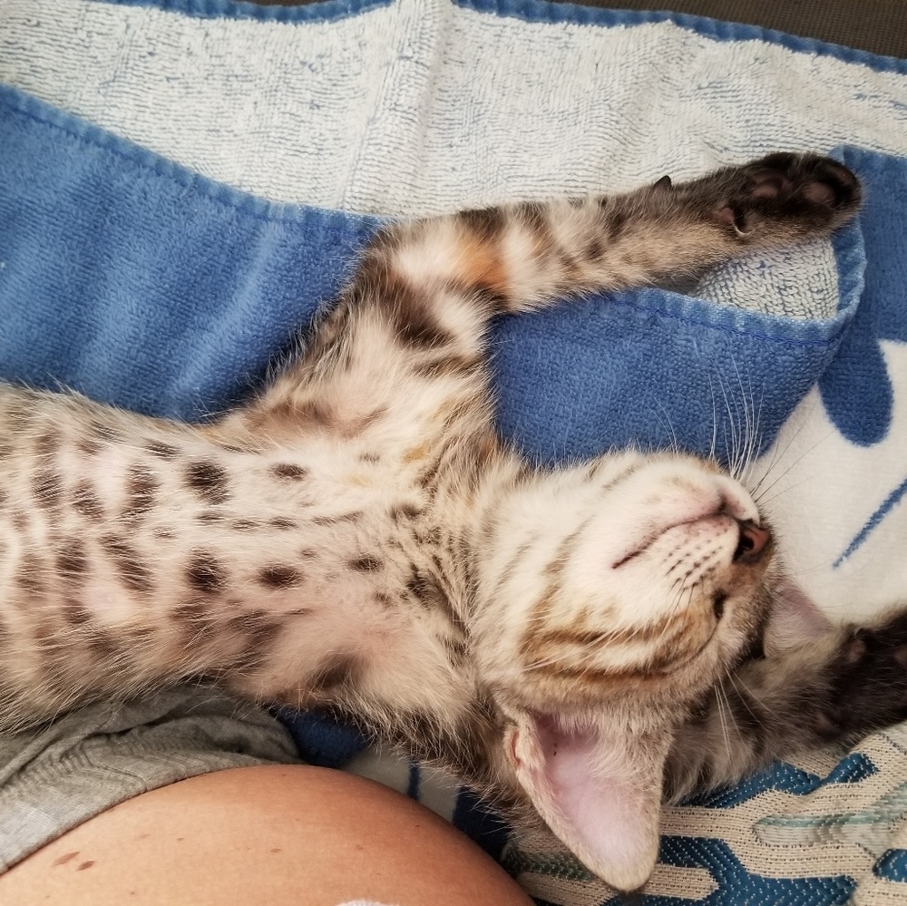 Meet your Posher, Kimberly